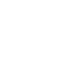 Shield Icon Wh